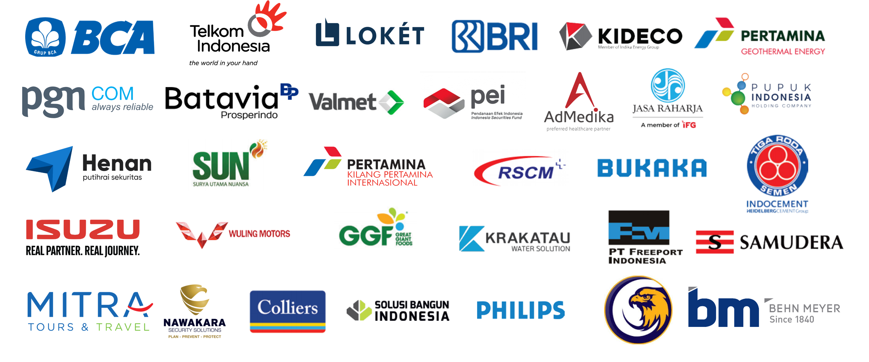 Oleander Consulting client logos